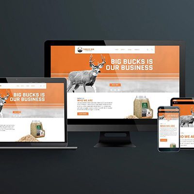 Website